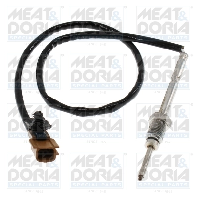 Sensor, exhaust gas temperature